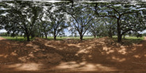 Plantation Live Oaks 360 VR