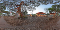 Guero's Taco Bar Garden