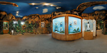 360 VR Quincy Museum