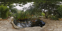 Koi Pond Oriental Garden, Zilker Park, Austin Texas 360VR